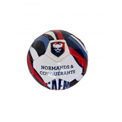 Mini Ballon SM Caen 2022 T1