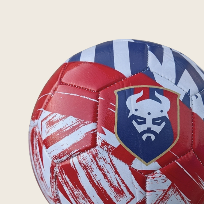 Ballon Graphique 23-24